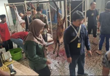 DKPP Kota Madiun Melakukan Pemeriksaan Hewan dan Daging Kurban di Masjid-Masjid.