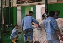 Penyembelihan Hewan Kurban di RPH Magetan Capai 55 Ekor Sapi