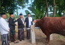 Pemkab Madiun Salurkan Hewan Kurban ke Ponpes, Panti Asuhan, dan SLB