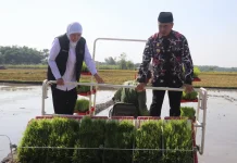 Khofifah Pimpin Gerakan Panen dan Percepatan Tanam di Kabupaten Madiun