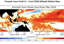 Cuaca Madiun Raya 1-3 Juni Cerah-Cerah Berawan, Potensi Hujan Ringan di Pegunungan