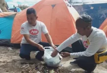 Paguyuban Wong Magetan (PWM)  Akan Melakukan Penanaman Pohon dan Pelapasan Tukik.