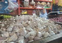 Harga Bawang Putih Naik, Pedagang PBM Keluhkan Omset Menurun