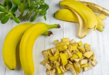 Jangan Dibuang, 5 Sisa Makanan Ini Bermanfaat untuk Menyuburkan Tanaman