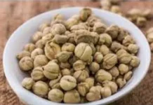 Kapulaga, Rempah Aromatik Mahal dengan Segudang Khasiat