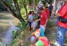 Gerakan Merawat Pertiwi, PDIP Magetan Tebar Benih Ikan untuk Jaga Ekosistem Sungai