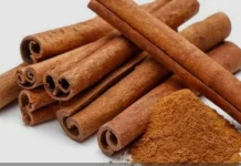 Kayu Manis, Rempah Aromatik Penuh Kekuatan untuk Jantung hingga Gula Darah