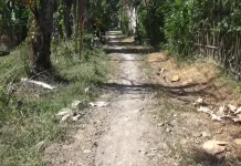 Pemkab Ngawi Rencana Perbaiki Jalan Poros Desa