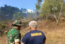 Dipicu Angin Kencang, 10 Hektare Lahan di Pacitan Terbakar