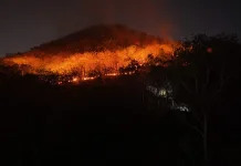 15 Hektar Lahan di Gunung Gombak Ponorogo Terbakar