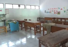 SDN Minim Murid Baru, Minat Orang tua Menyekolahkan Anak di Swasta