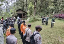 Antisipasi Karhutla, Perhutani Bangun Sekat Bakar di Lereng Lawu
