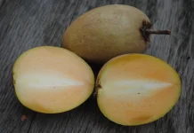 Tips Mengonsumsi Buah Ciku