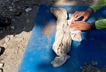 Temuan Dua "Pocong" Gegerkan Warga, Polisi Pastikan Bukan Kerangka Manusia