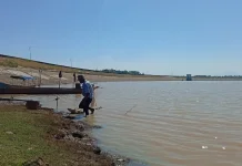 Musim Kemarau, Volume Air Waduk Dawuhan Menyusut