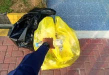 Pemkot Madiun Gelar Festival Hijau, Kampanyekan Gerakan Pilah Sampah dari Rumah