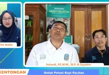 Geliat Positif Petani Kopi di Pacitan, Tingkatkan Perekonomian