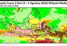 Cuaca Madiun Raya 3 - 5 Agustus, Cerah – Cerah Berawan, Siang Hari Cuaca Terik dan Kering