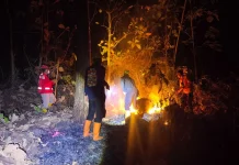 Capai 5 Hektare, Hutan Rakyat di Parang Magetan Terbakar