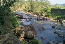 Menjaga Ekonomi Desa Belajar dari Sungai di Wana Wisata Grape