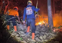 BNPB: Karhutla Gunung Bungkuk Magetan Berhasil Dipadamkan