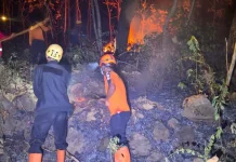 50 Kebakaran Lahan Sepanjang 2026 di Magetan, Mayoritas Karena Pembukaan Lahan