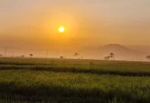 Madiun Dingin, Dampak El Nino Menguat hingga Oktober 2026