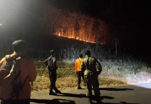Lagi, 3 Hektar Hutan Rakyat di Mategal Magetan Terbakar