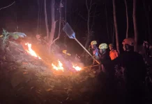 Kebakaran Lahan di Magetan Berhasil Dipadamkan Kurang dari Dua Jam