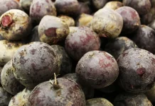 VIRAL! Acar Buah Bit, Begini Cara Membuatnya
