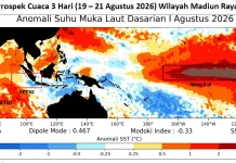 Cuaca Madiun Raya 19-21 Agustus, Cerah - Cerah Berawan, Pagi Suhu Udara Berkisar 18–26 °C