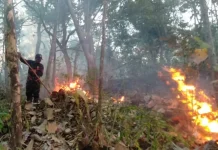 Terhalang Medan, BPBD Kesulitan Padamkan Titik Api di Giripurno Magetan