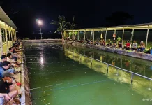 Kelola Kolam Pancing, Hendrik Buka Peluang Usaha dan Ruang Rekreasi