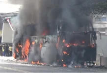 Bus Eka Cepat Terbakar di Nglames Madiun, 19 Penumpang Selamat