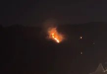 Hutan Jati di Bungkuk Magetan Kembali Terbakar
