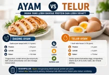 Daging Ayam vs Telur Ayam, Mana yang Lebih Banyak Protein dan Lebih Sehat?