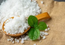 Apakah Gula Stevia Lebih Aman dan Sehat? Simak Penjelasan Nutrisionis Berikut