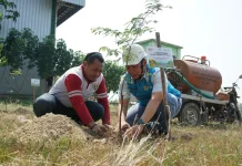 HUT RI, PLN UP3 Madiun-DLH Ngawi Tanam Pohon di TPA Selopuro