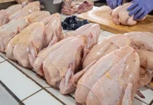Daging Ayam Ras Picu Inflasi Kota Madiun 0,46 Persen pada Agustus 2026