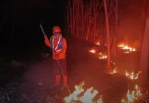 BPBD Ponorogo Catat 54 Kejadian Karhutla, 189 Hektare Terdampak