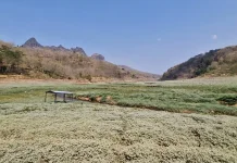 Waduk Bendo Surut, Warga Beralih Jadi Petani Musiman