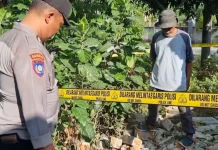 Seorang Anak di Ponorogo Meninggal usai Tertimpa Reruntuhan Tembok