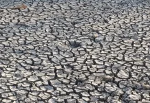 Kekeringan, BPBD Ngawi Telah Droping Ratusan Tanki Air Bersih