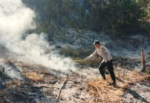 Respon Cepat Petugas Cegah Api Meluas di Lereng Gunung Lawu