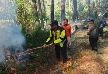 Titik Api Muncul di Sarangan, Polisi dan Perhutani Perketat Pengawasan Hutan
