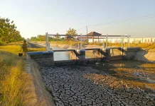 Kemarau Susutkan 27 Sumber Air di Magetan, Sejumlah Embung dan Kanal Mengering
