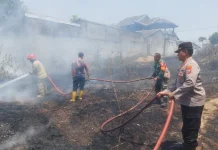 Kebakaran di Mojopurno Madiun, 10 Hektare Lahan Dilalap Api