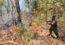 Kebakaran Hutan di Lereng Lawu, Petugas Antisipasi Api Merembet ke Ngawi
