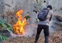 Kebakaran Hutan Lawu Meluas ke Ngawi, Luas Area Terbakar Capai 5 Hektare
