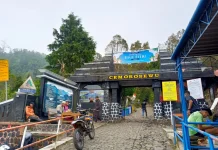 Kebakaran Gunung Lawu Meluas, Perhutani Tutup Jalur Pendakian Cemoro Sewu